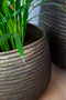 plantenbak Oviedo een geribbelde plantenpot in een organische vorm. Kleur: brons