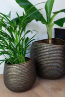 plantenbak Oviedo een geribbelde plantenpot in een organische vorm. Kleur: brons in 2 verschillende maten