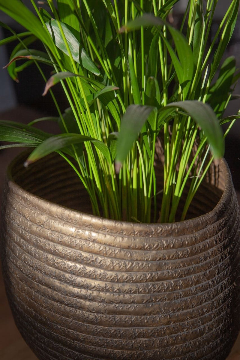 plantenbak Oviedo een geribbelde plantenpot in een organische vorm. Kleur: brons