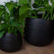 plantenbak Oviedo een geribbelde plantenpot in een organische vorm. Kleur: zwart in 2 verschillende maten