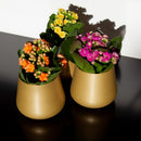 Set van 3 gouden plantenpotjes tafelmodel met bloemetjes erin. Kleur: goud